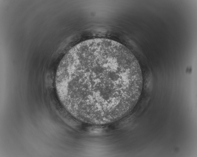 X0000112780661200909171337