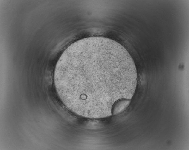 X0000112780666200909171337