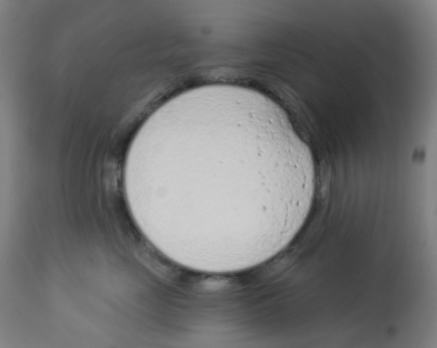 X0000112780669200909171337