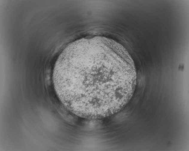 X0000112780670200909171337