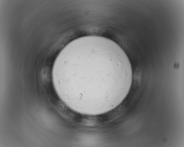 X0000112780671200909171337