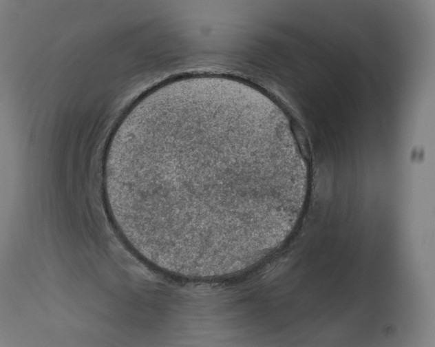 X0000112780673200909171337