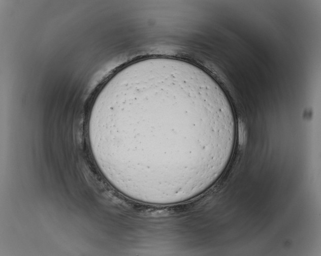 X0000112780675200909171337