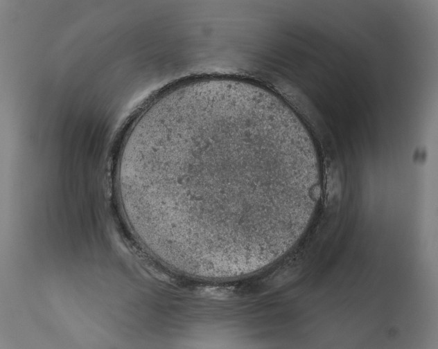 X0000112780680200909171336