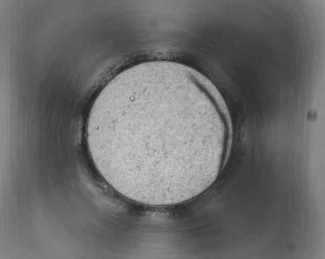 X0000112780694200909171336