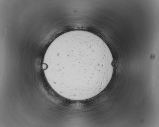 X0000112780695200909171336