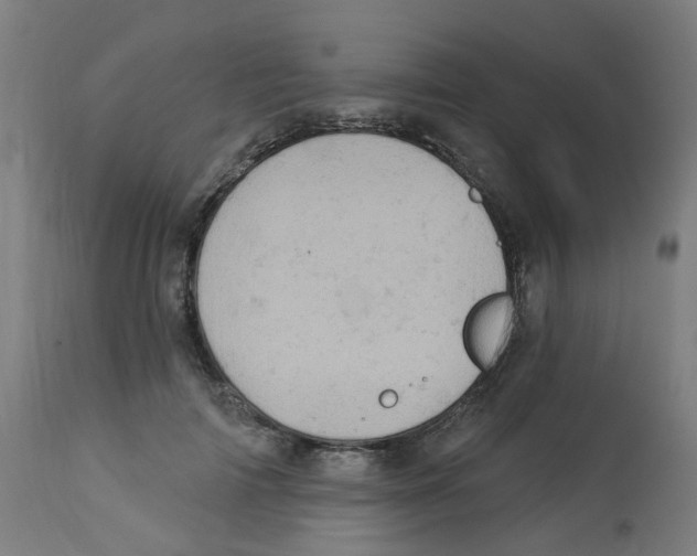 X0000112780698200909171336