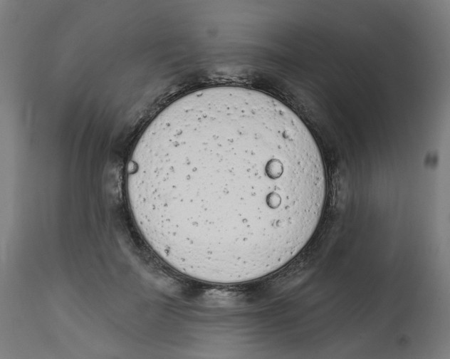 X0000112780699200909171336