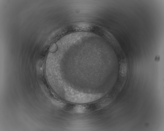 X0000112780701200909171336