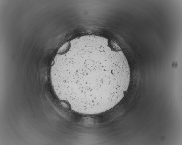 X0000112780703200909171336