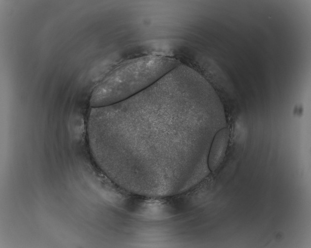 X0000112780704200909171336