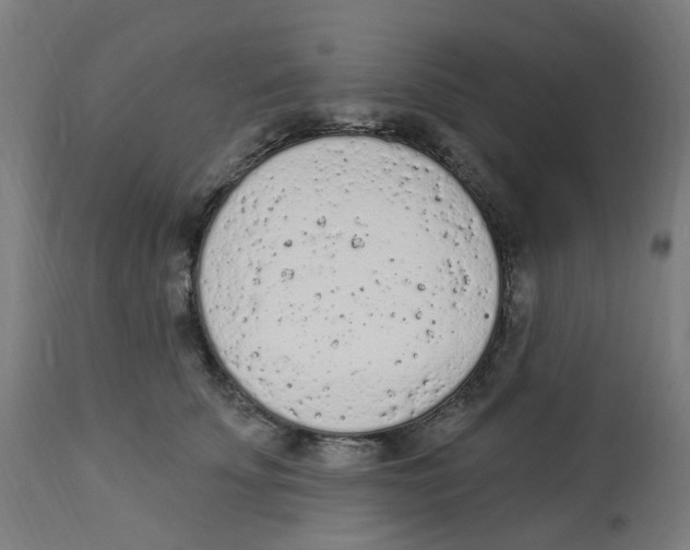 X0000112780707200909171336