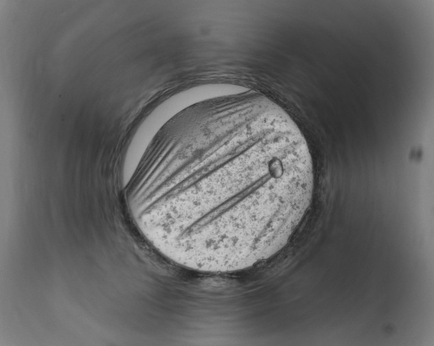 X0000112780708200909171336