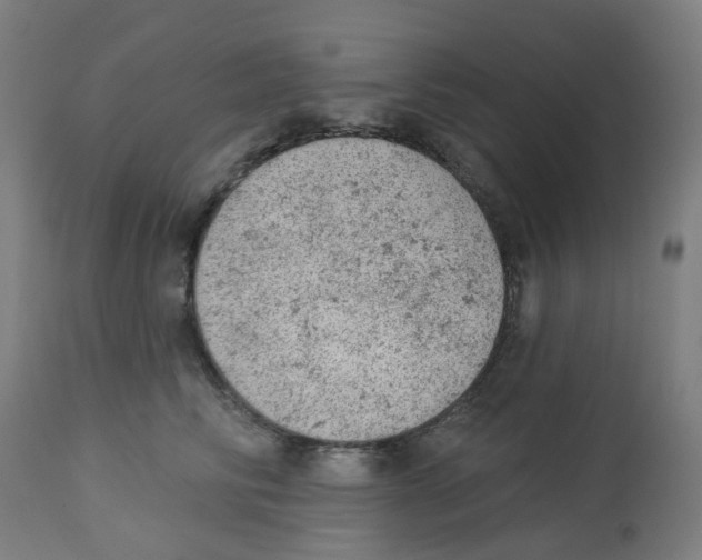 X0000112780710200909171336