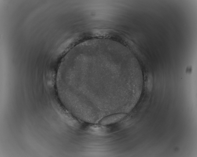 X0000112780712200909171336