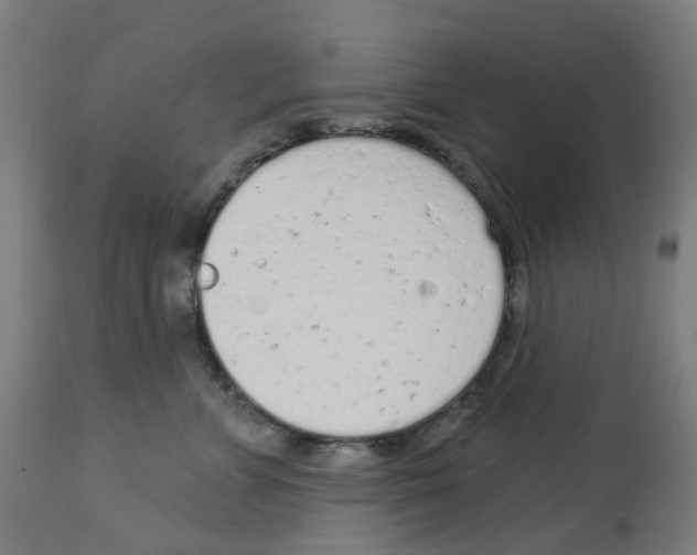 X0000112780715200909171336