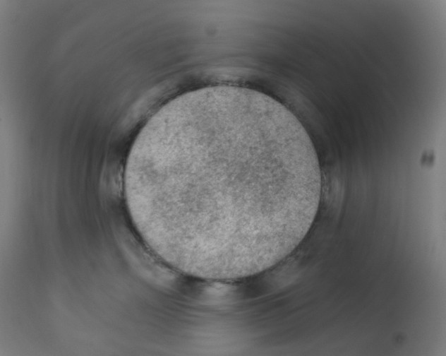 X0000112780718200909171336