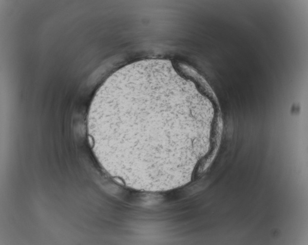 X0000112780719200909171336