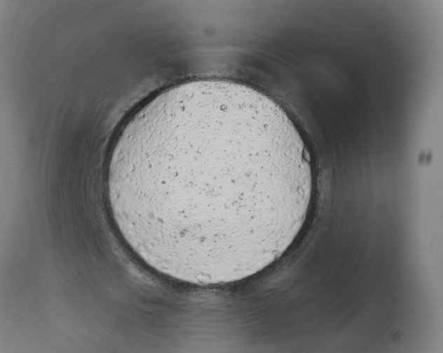 X0000112780721200909171335