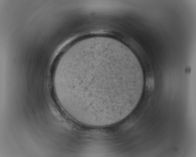 X0000112780724200909171335