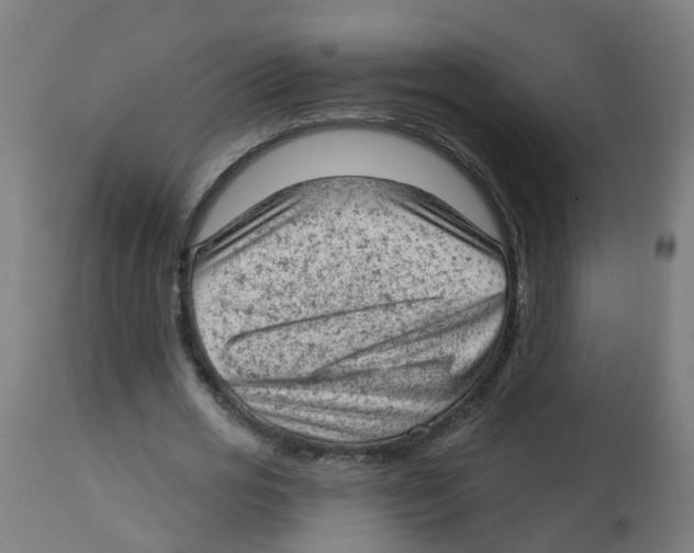 X0000112780725200909171335