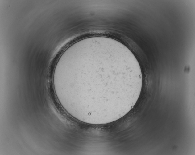 X0000112780728200909171335