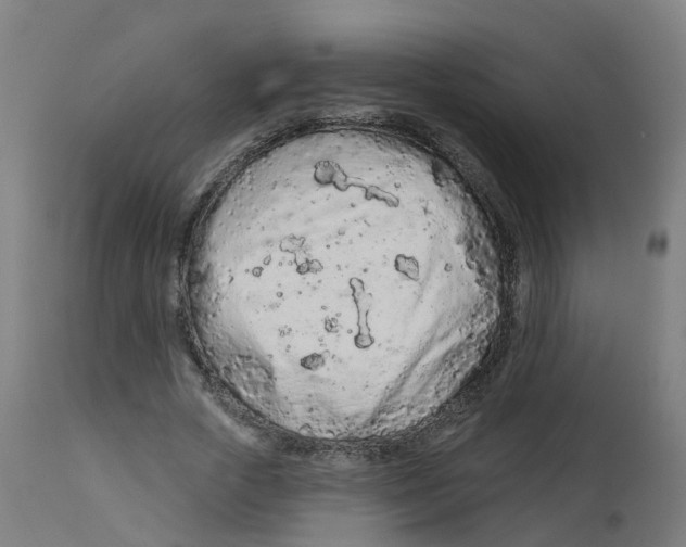 X0000112780729200909171335