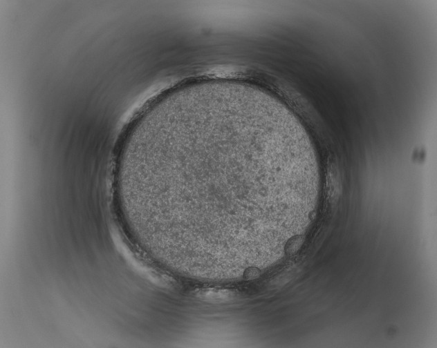 X0000112780730200909171335