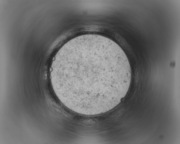 X0000112780731200909171335