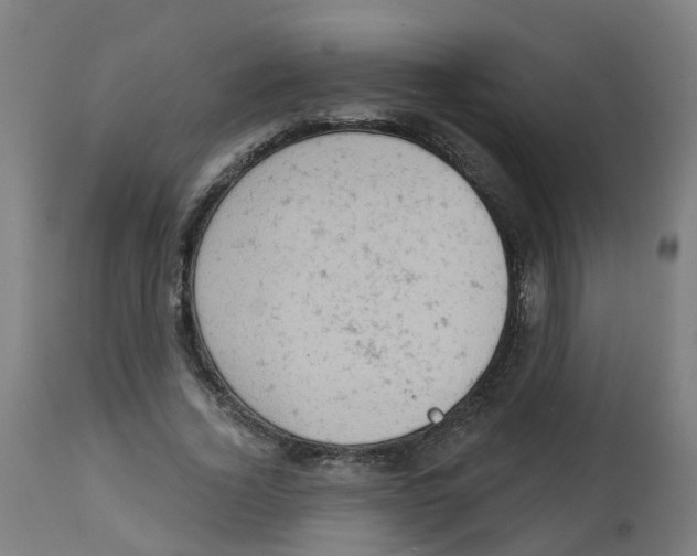 X0000112780732200909171335