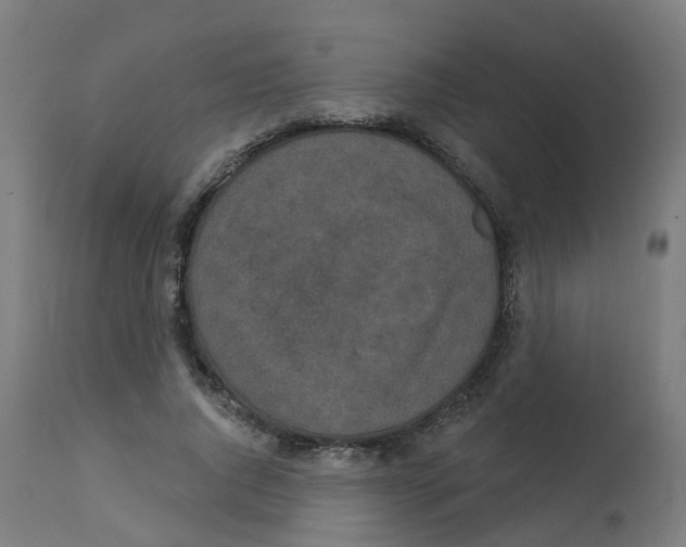 X0000112780736200909171335