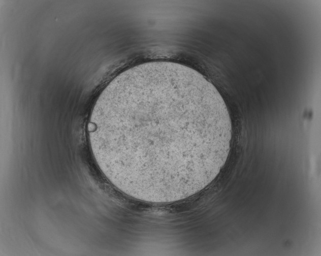 X0000112780743200909171336