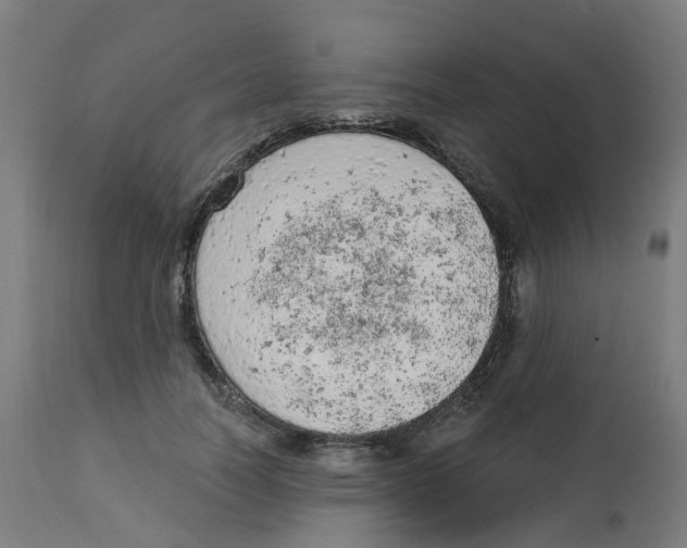 X0000112780746200909171336