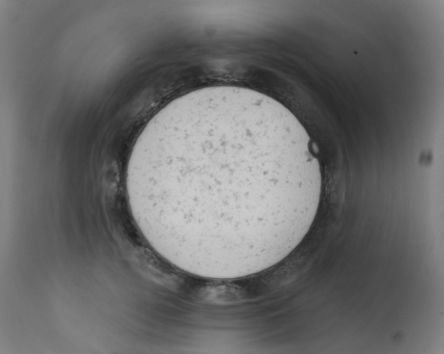 X0000112780752200909171336