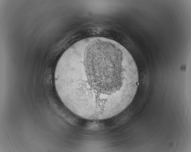 X0000112780754200909171336