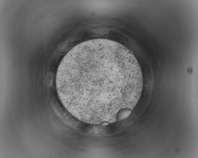 X0000112780758200909171336