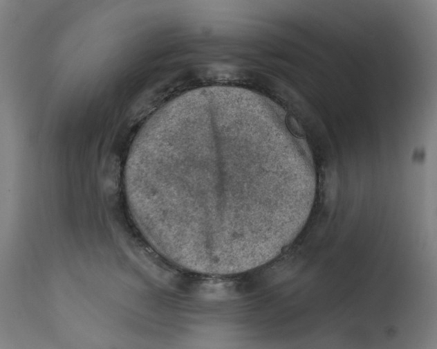 X0000112780760200909171336