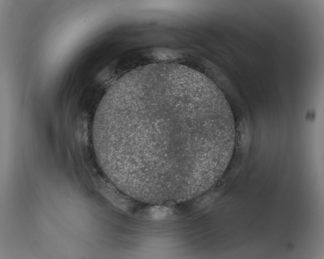 X0000112780762200909171336