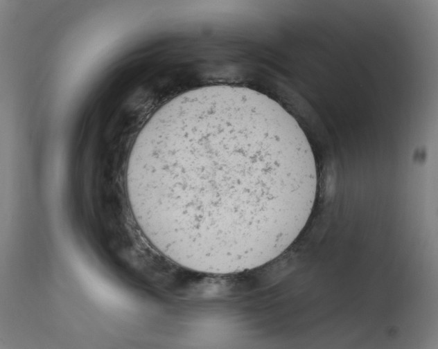 X0000112780764200909171336