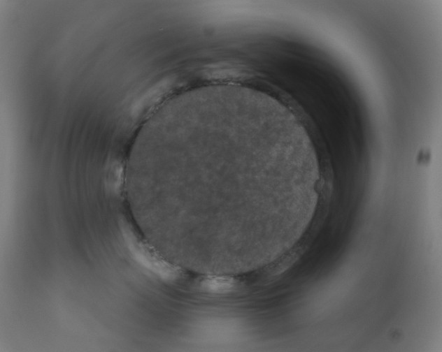 X0000112780767200909171336