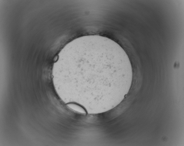 X0000112780768200909171336