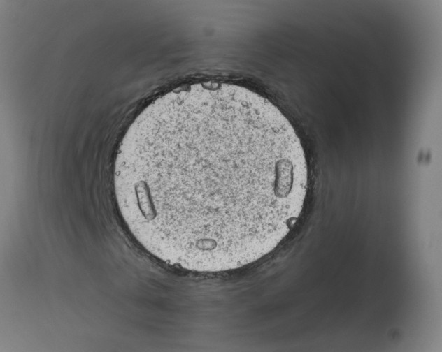 X0000112780769200909171335