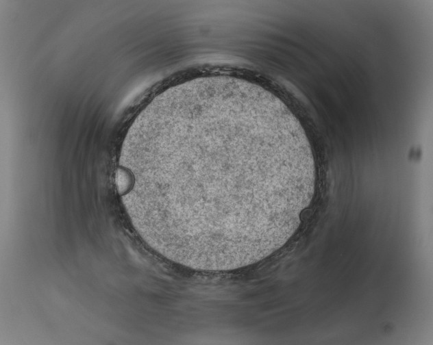 X0000112780775200909171335