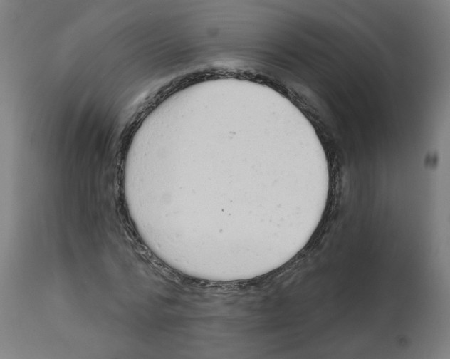 X0000112780776200909171335