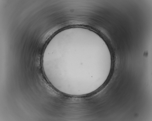 X0000112780777200909171335