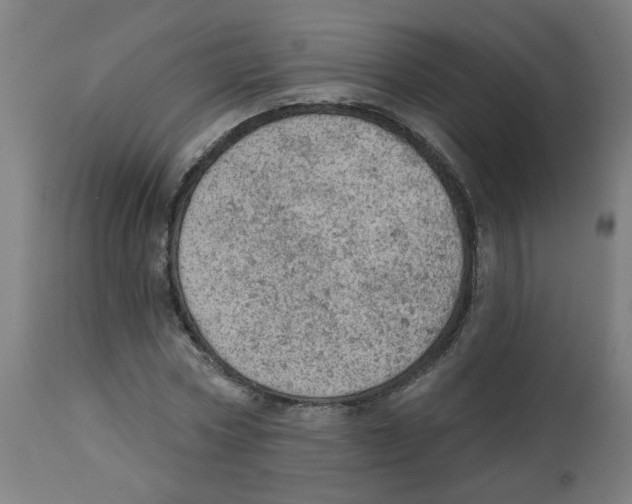 X0000112780778200909171335