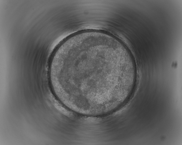 X0000112780779200909171335