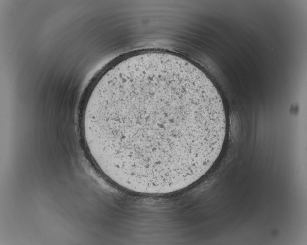 X0000112780780200909171335