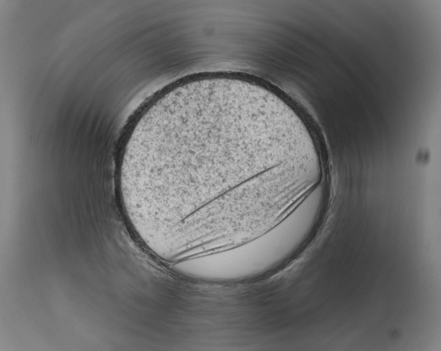 X0000112780781200909171335