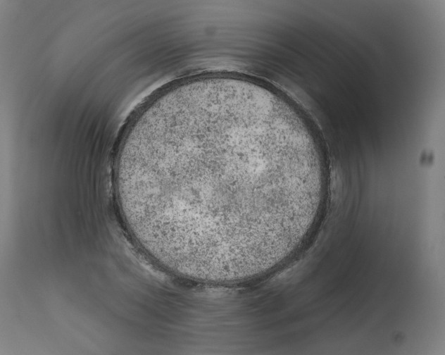 X0000112780782200909171335